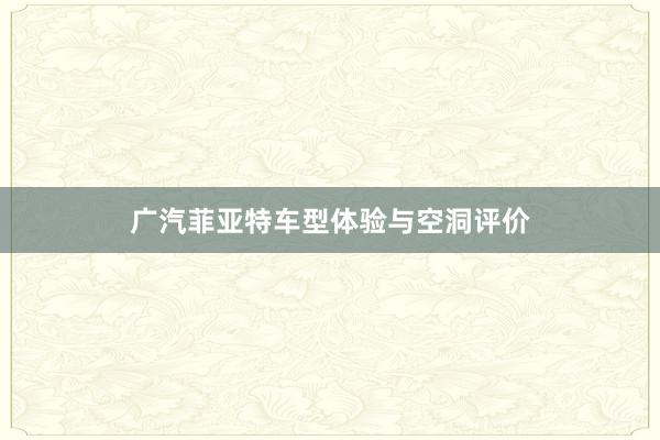 广汽菲亚特车型体验与空洞评价
