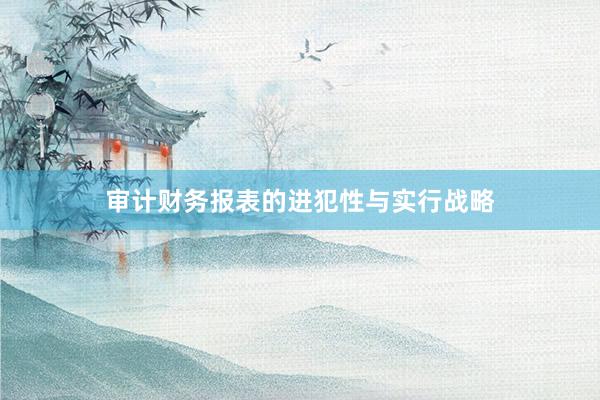 审计财务报表的进犯性与实行战略
